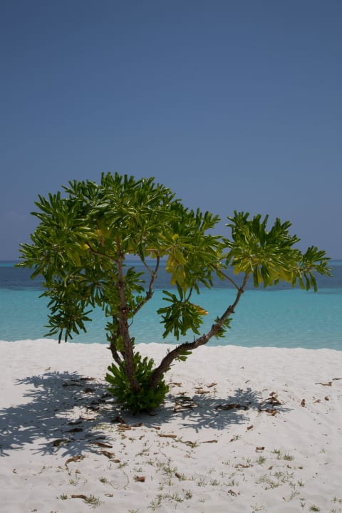 Blick vom Bungalow 118 Kuredu Island Resort & Spa