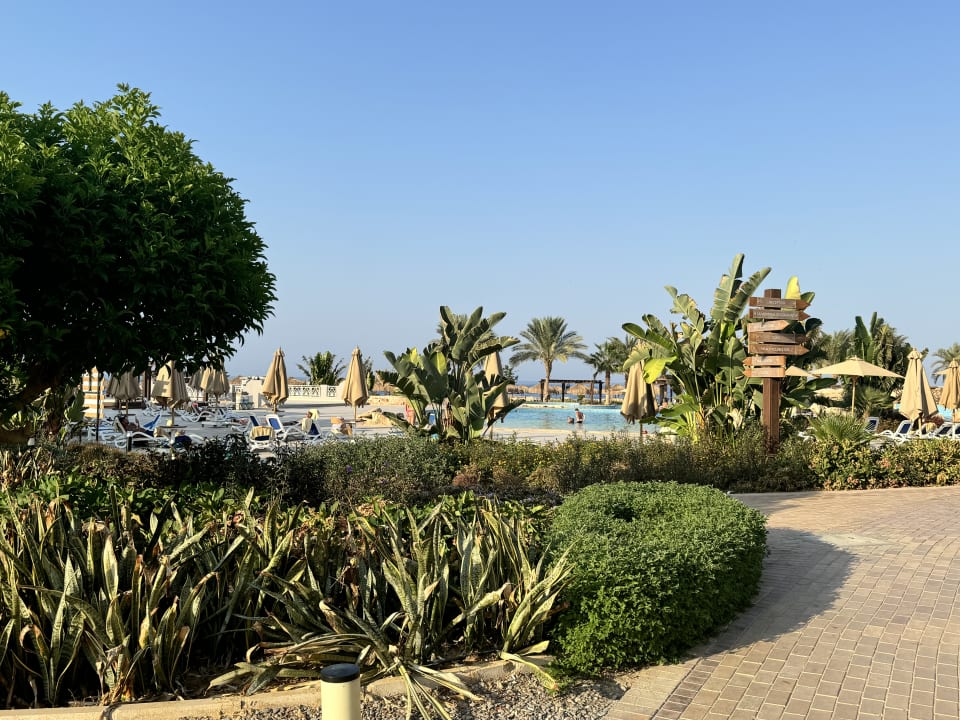 Pool Lazuli Hotel Marsa Alam