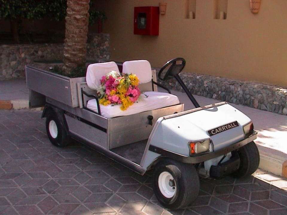 Koffertransporter Jaz Makadina