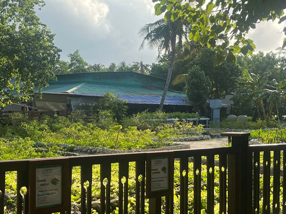 Gartenanlage Ellaidhoo Maldives by Cinnamon