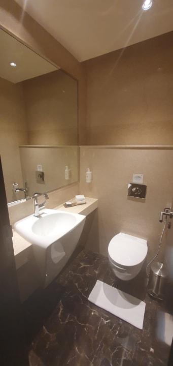 Zimmer Pullman New Delhi Aerocity