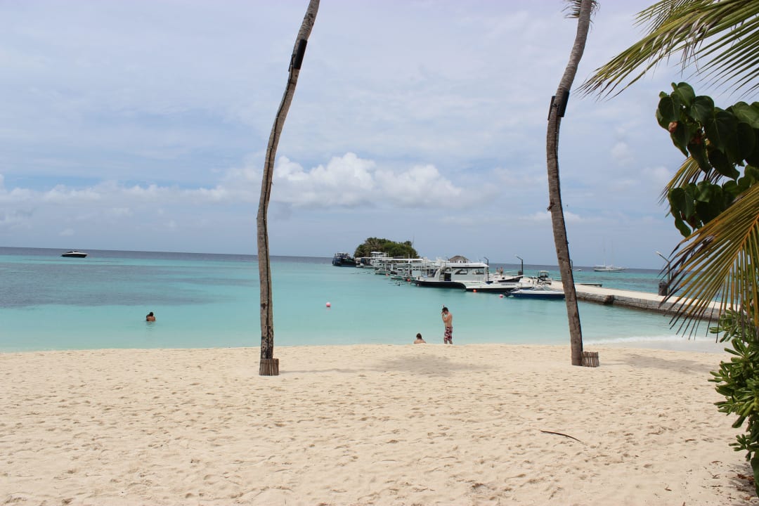 Ausblick vom pool zum Jetti Kuredu Island Resort & Spa