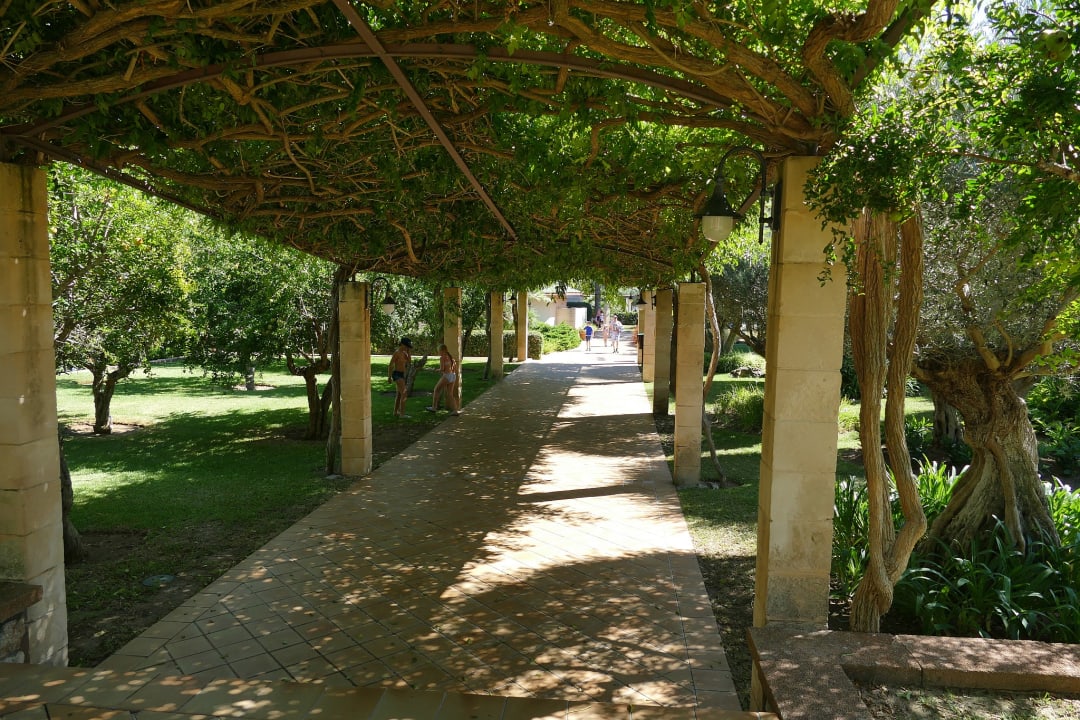 Gartenanlage Zafiro Mallorca