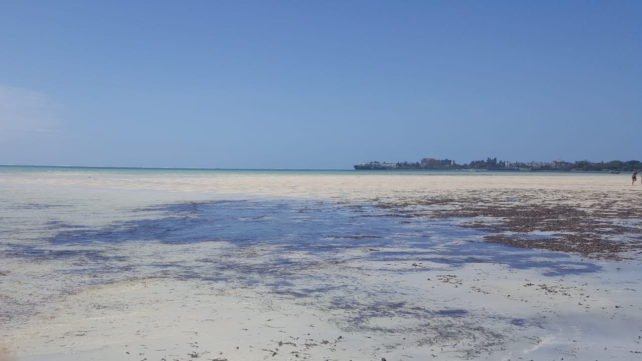 Strand Hotel Traveller's Club