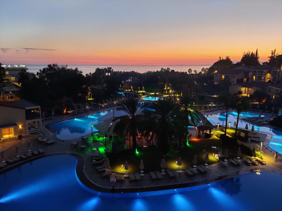 Ausblick Arum Barut Collection