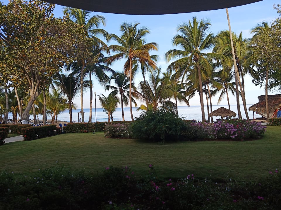 Zimmer Hotel Viva Dominicus Beach by Wyndham - All Inclusive Resort