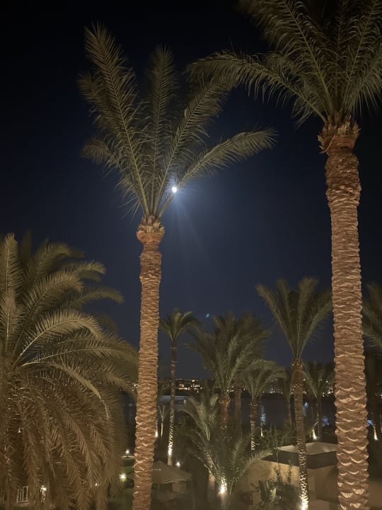 Sonstiges Steigenberger Coraya Beach - Adults only