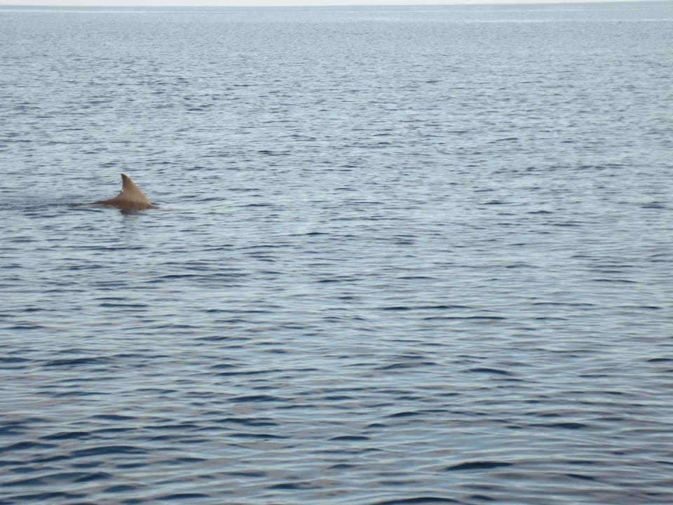 Delfine Adaaran Select Hudhuran Fushi - Premium All Inclusive