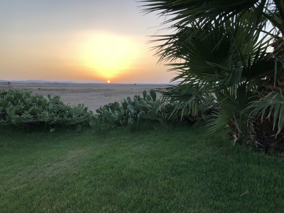 Ausblick Three Corners Sea Beach Resort