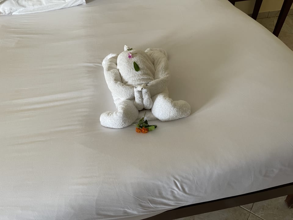 Zimmer Casa Mare Resort