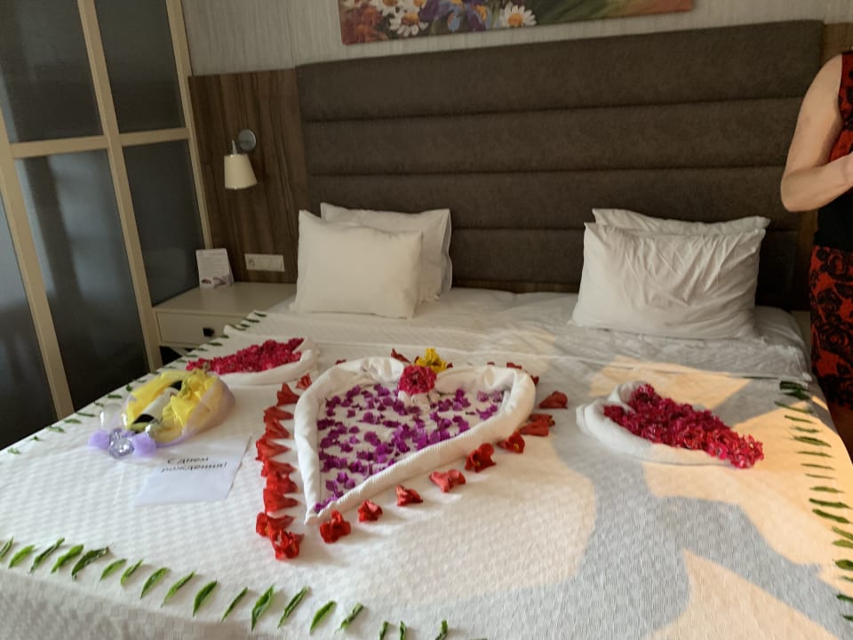 Zimmer Monachus Family Resort Sorgun