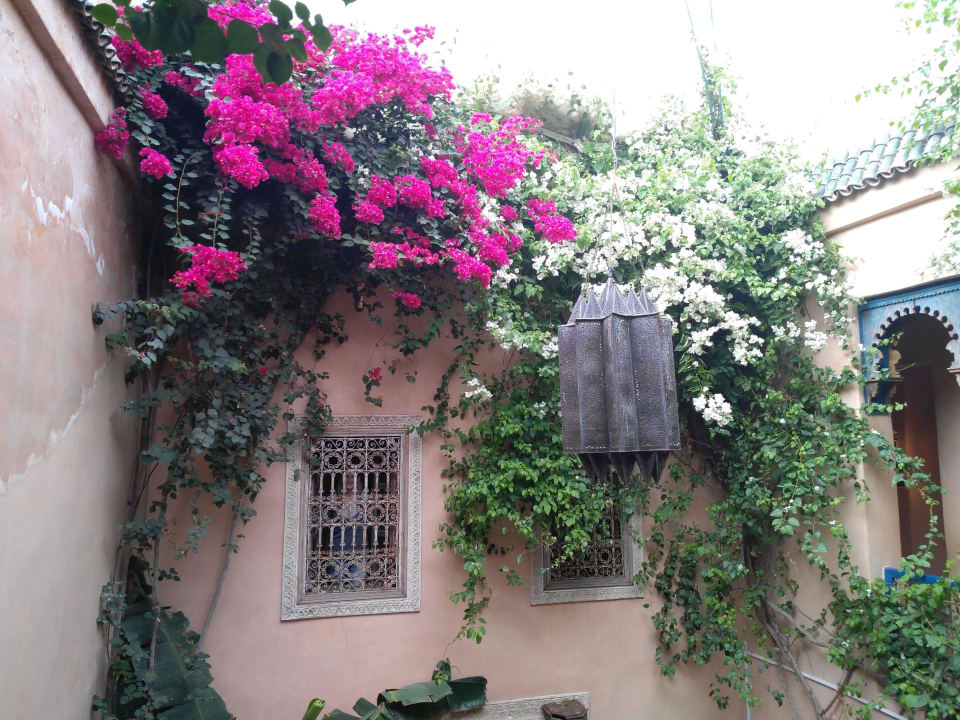 Blütenpracht im 1. Hof Hotel Riad Armelle