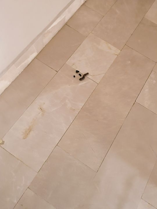 Sonstiges Hotel Novum Garden Side