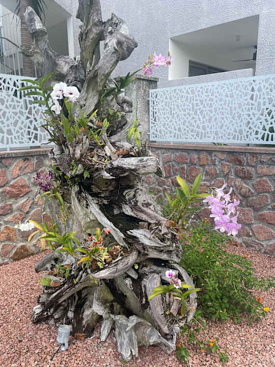Gartenanlage Hotel Le Duc de Praslin