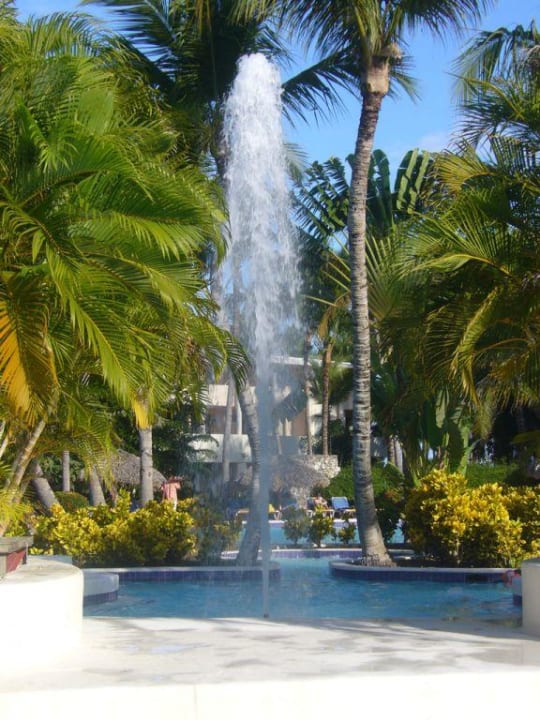 Pool Catalonia Punta Cana - All Inclusive