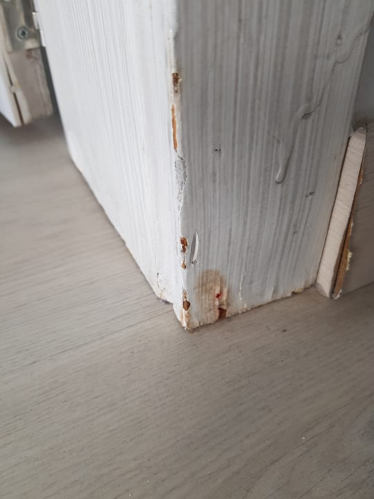 Zimmer Alcudia Garden Aparthotel