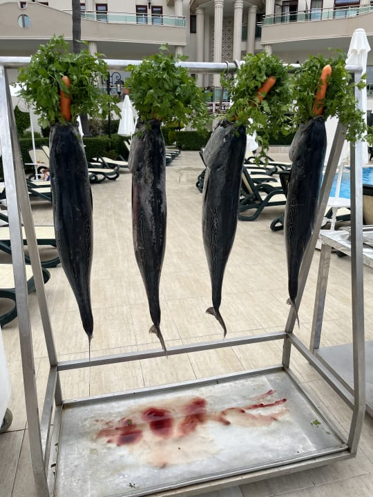 Gastro Bella Resort & Spa