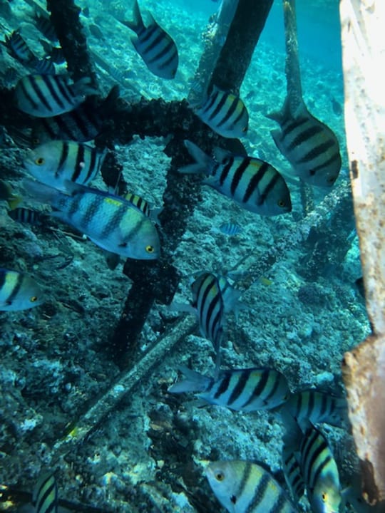 Strand Serenity Alpha Beach