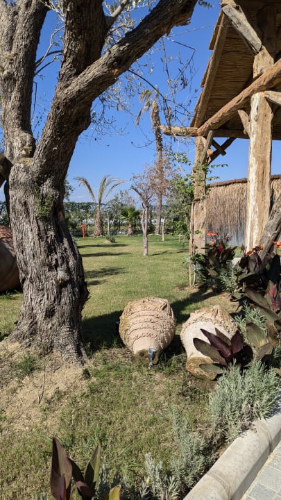 Gartenanlage Dream Fun World