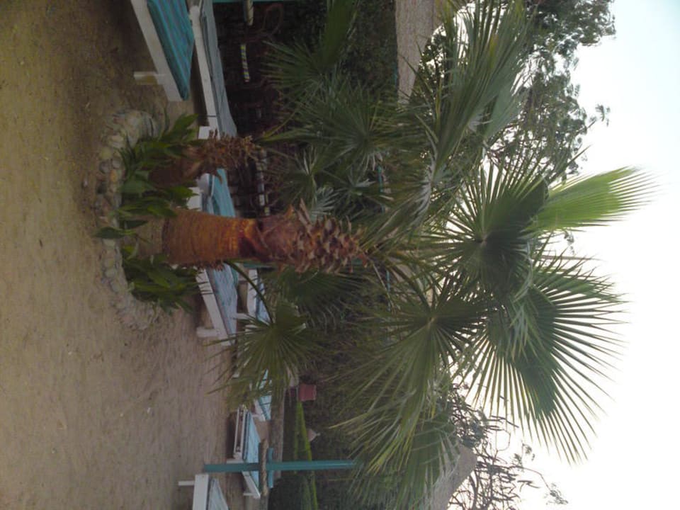 Teil vom kleinen Strand Bella Vista Resort Hurghada