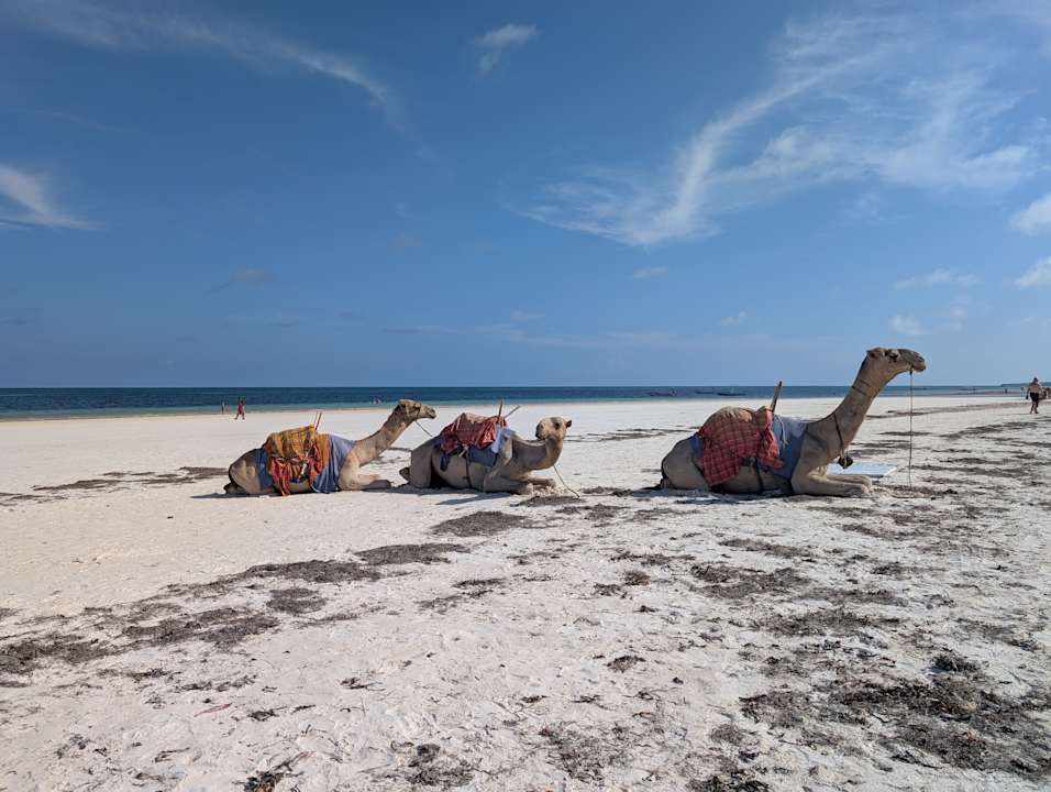 Strand Neptune Paradise Beach Resort & Spa