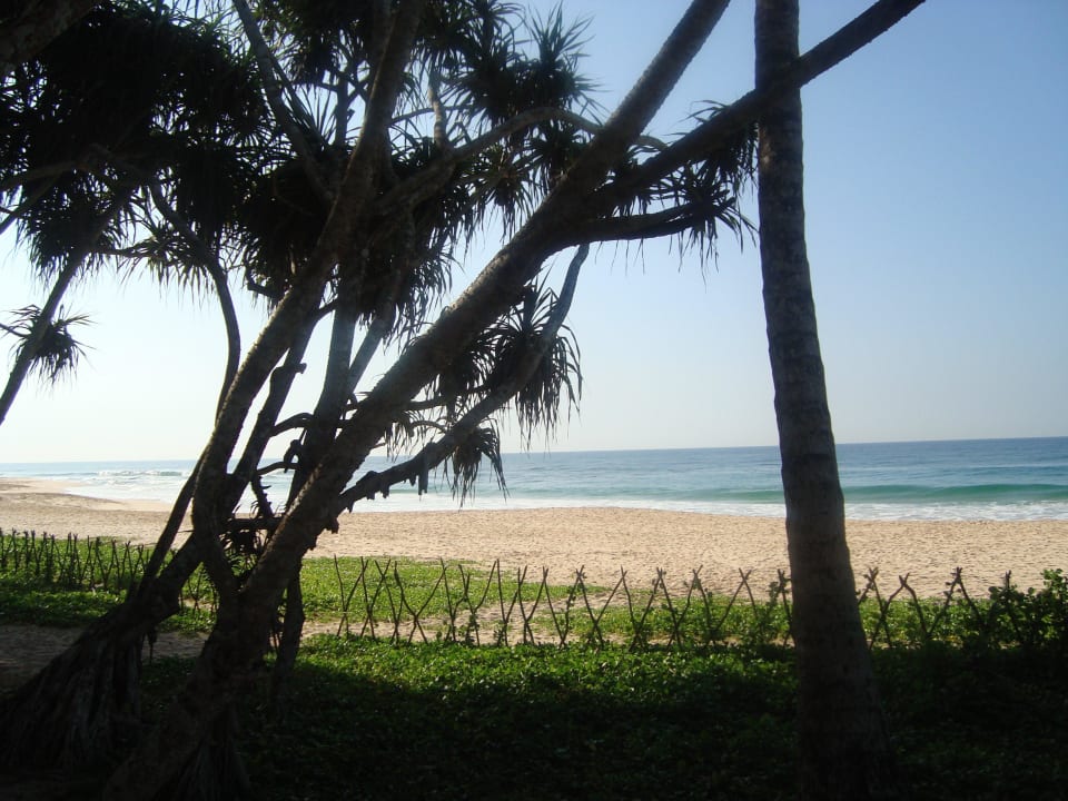 Ausblick von unserer Terrasse Hotel Koggala Beach