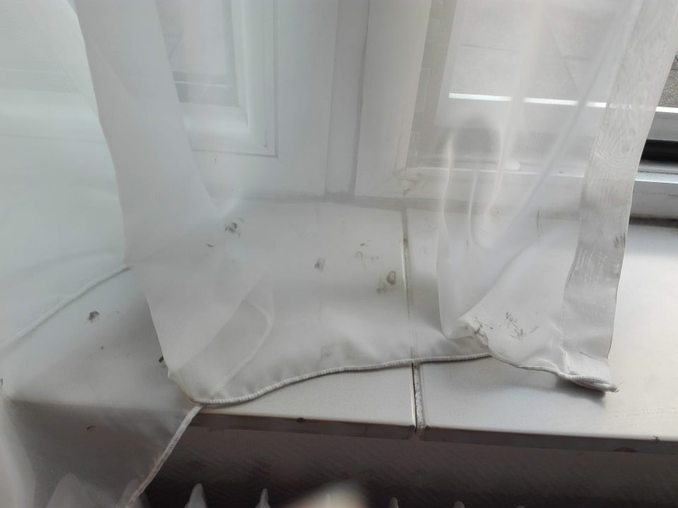 Zimmer Golden Tulip Hotel Noordwijk Beach