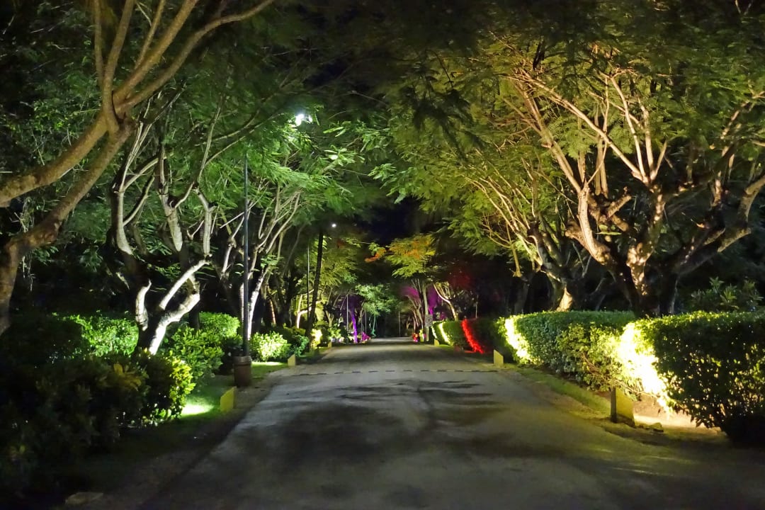 Gartenanlage TRS Turquesa Hotel - Adults only