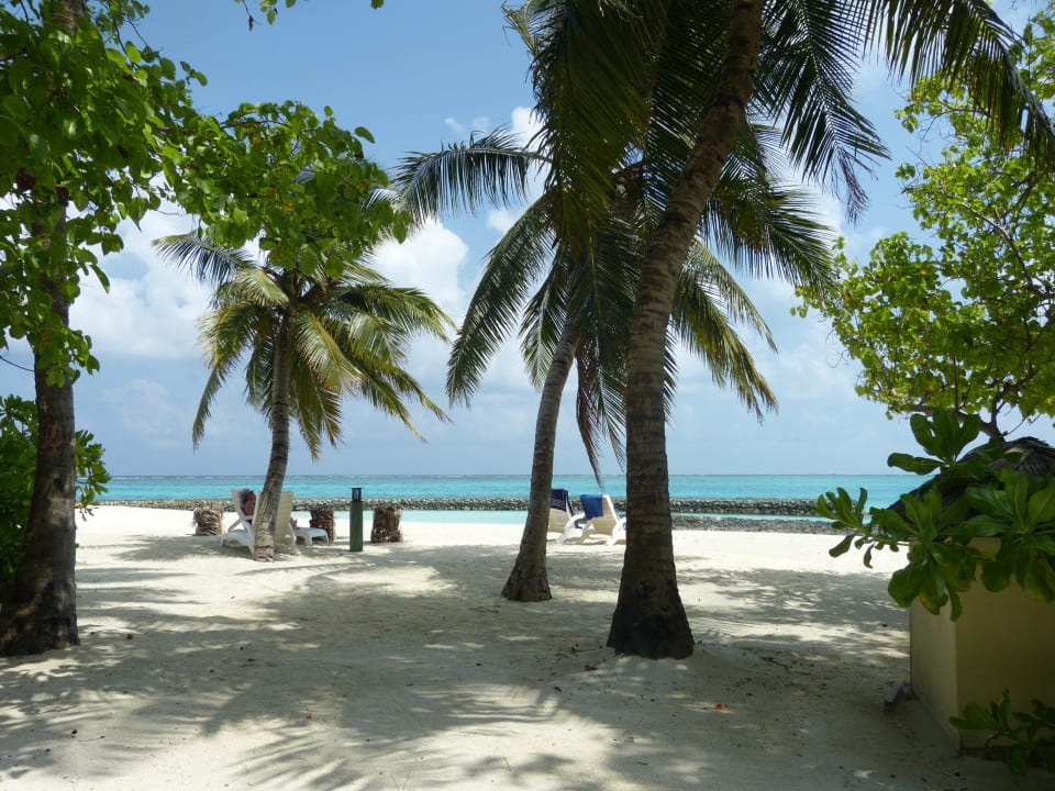 Superiorbungalow 205 links Summer Island Maldives