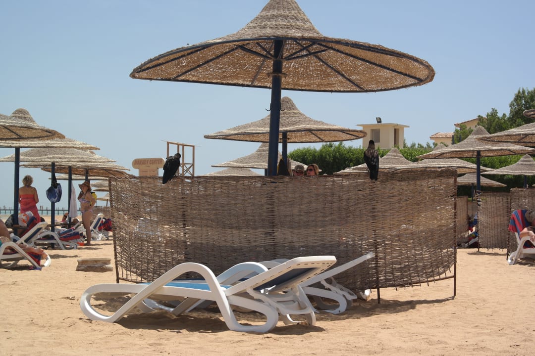 Raben Cleopatra Luxury Resort Makadi Bay