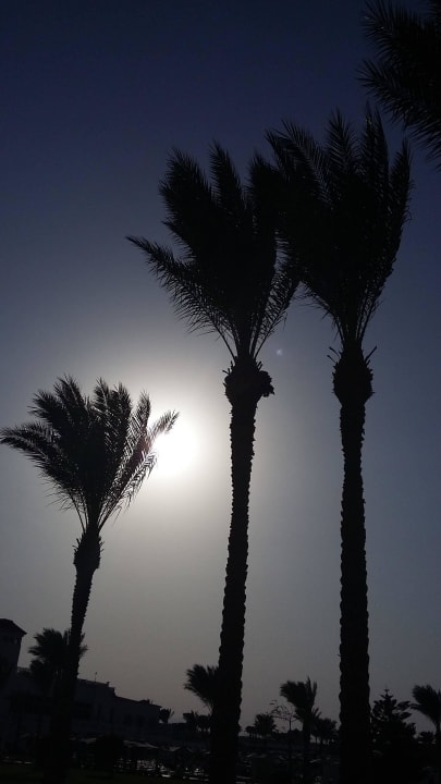 Dana Beach Resort Pickalbatros Dana Beach Resort - Hurghada