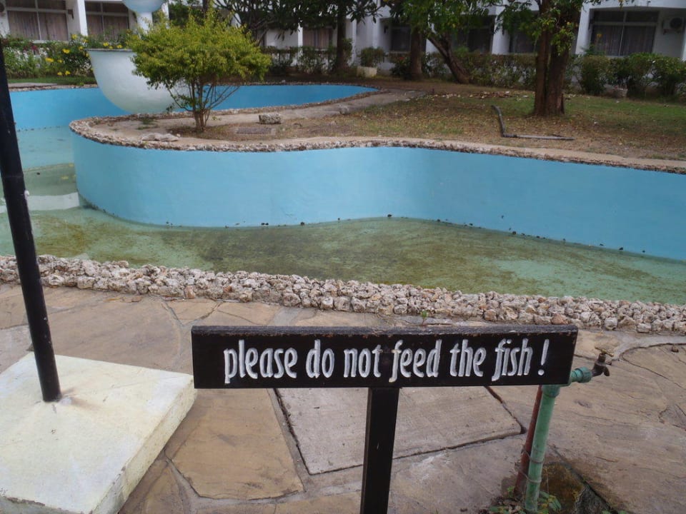 Fischbecken ohne Wasser Hotel Kenya Bay Beach