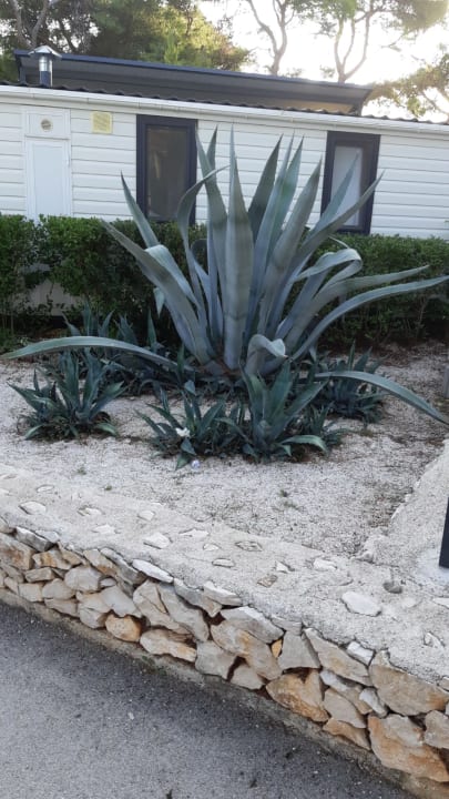 Außenansicht Waterman Beach Village camp & Glamping