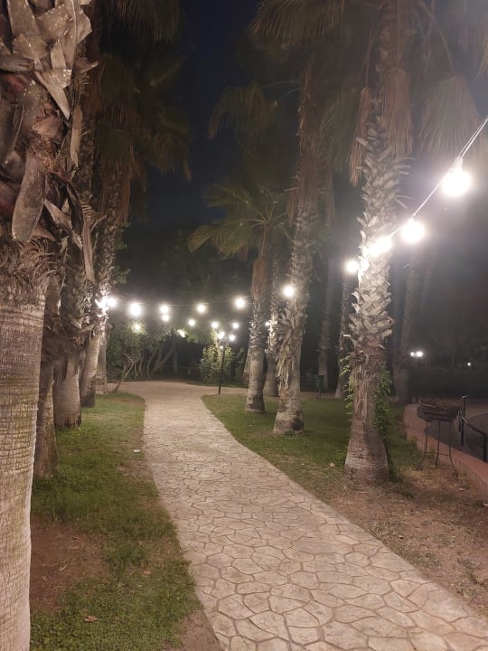 Gartenanlage Belconti Resort Hotel