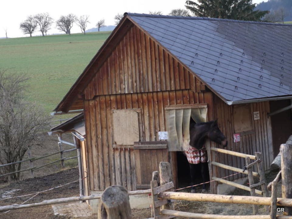 Pferdestall Ferienwohnungen Pferdehof Stockner
