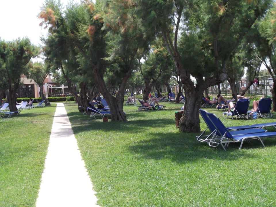Liegewiese beim Hotel Anissa Beach & Village