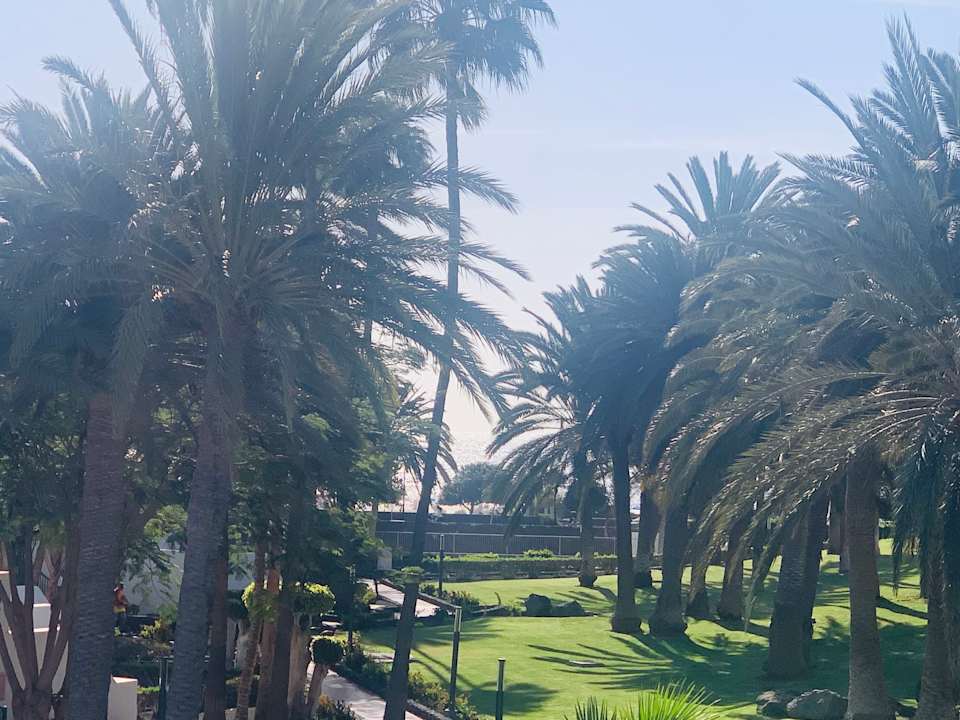 Gartenanlage Hotel Riu Paraiso Lanzarote