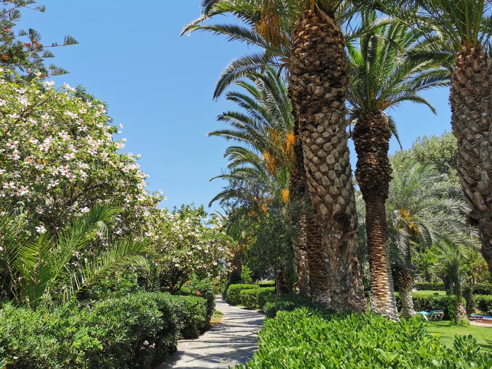 Gartenanlage Apollonia Beach Resort & Spa