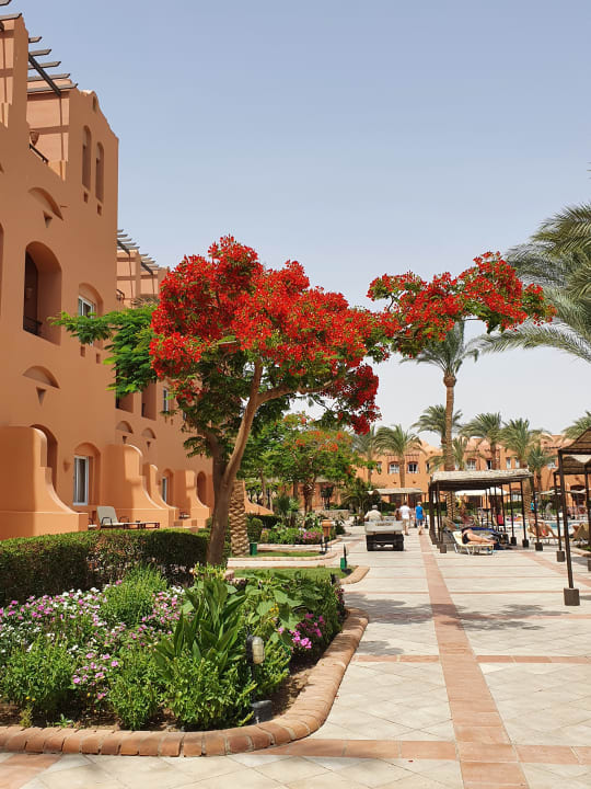 Gartenanlage Jaz Makadi Oasis Resort