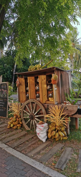 Gartenanlage Villa Park Sun Island