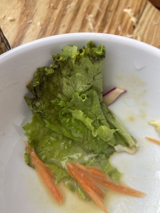 Gastro Solana Beach Mauritius