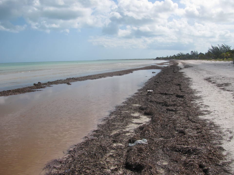 Augen zu und durch Villas HM Paraiso del Mar