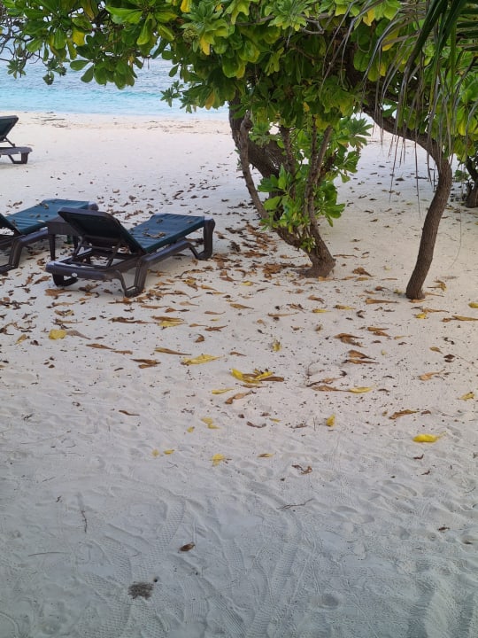 Strand Kuredu Island Resort & Spa