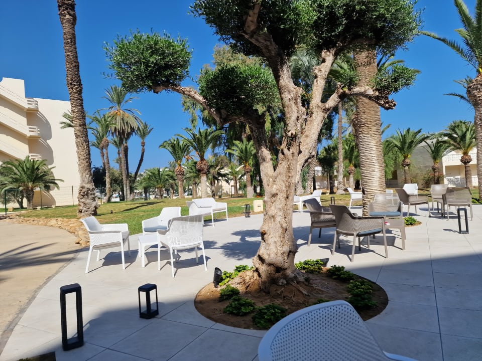 Gartenanlage Hotel Marhaba Club