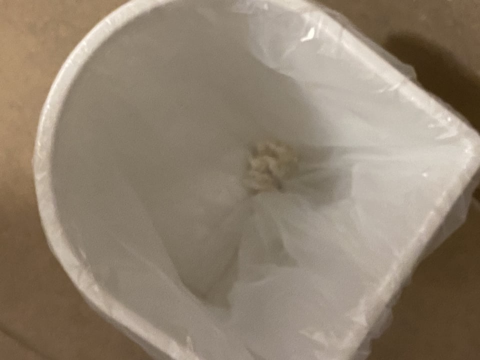 Zimmer Hotel Pine Bay Holiday Resort