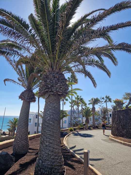 Gartenanlage Sotavento Beach Club