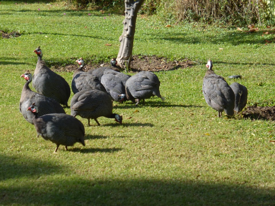 Sonstiges VONRESORT Golden Beach