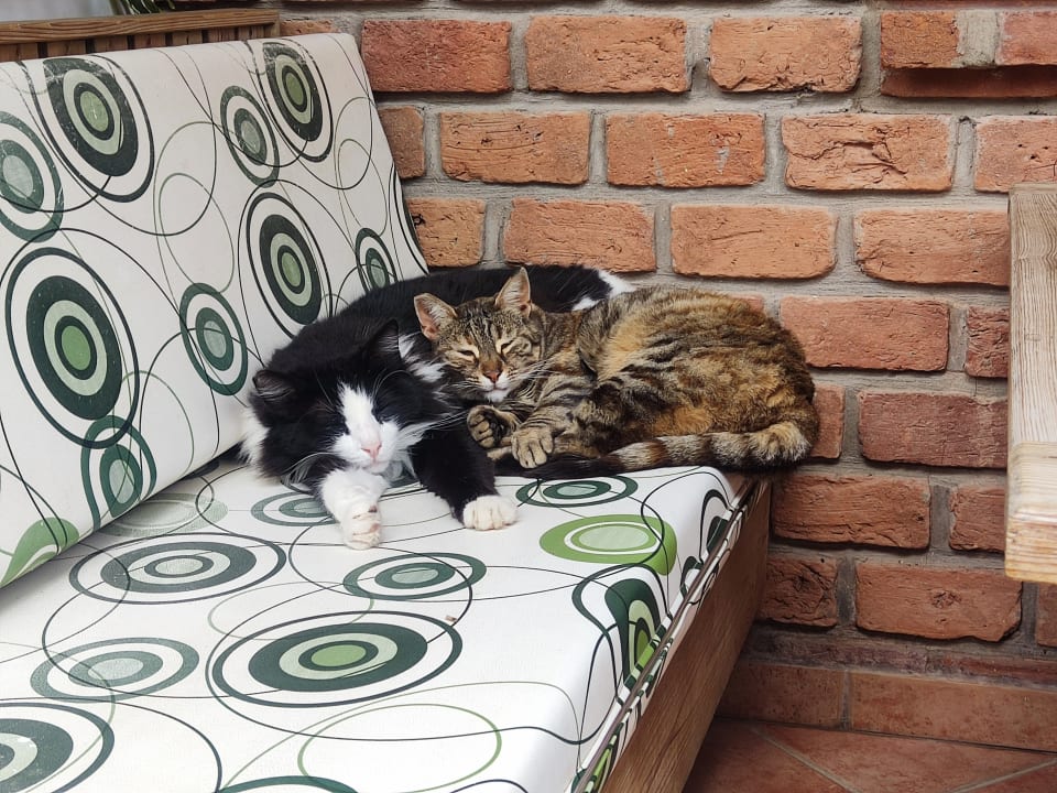 Sonstiges Can Garden Beach