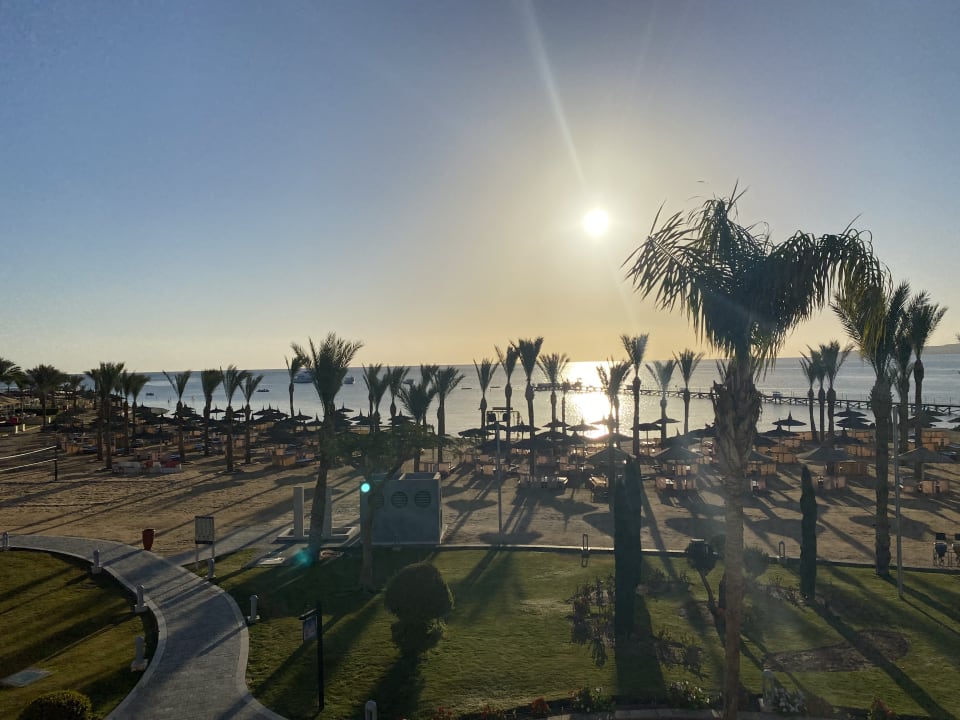 Ausblick Pickalbatros Palace Resort