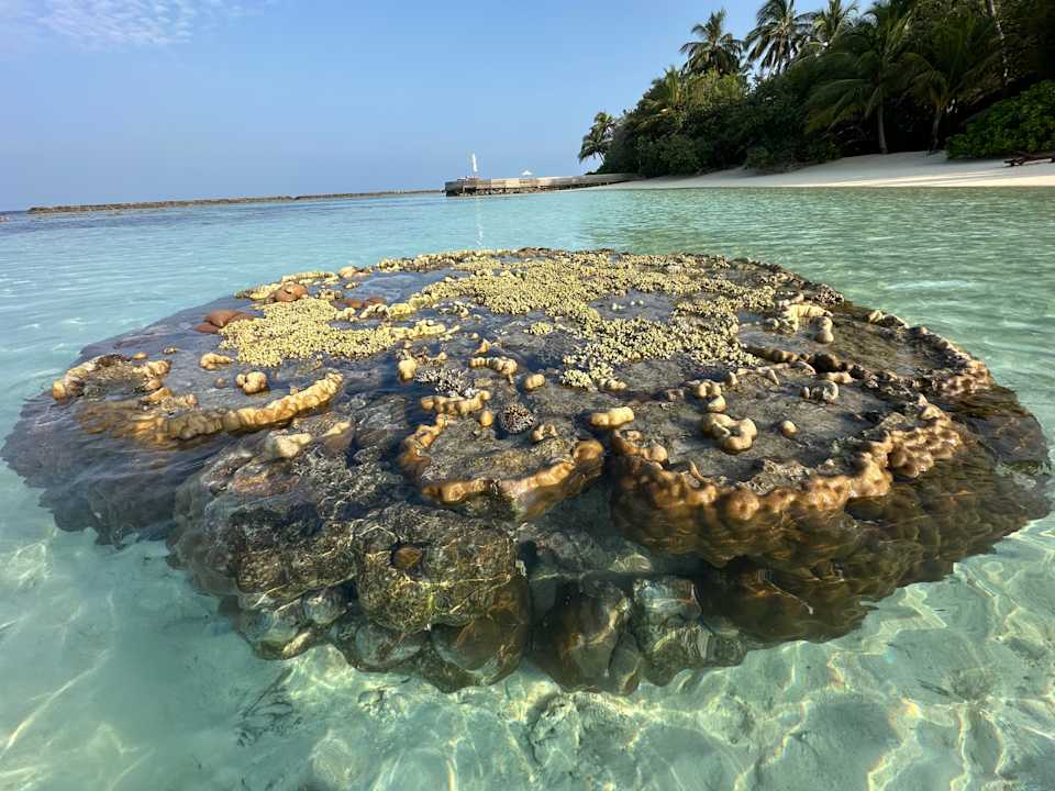 Strand Baros Maldives Resort